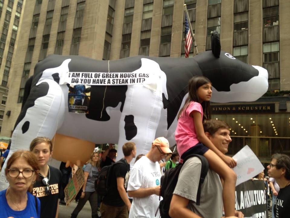 WAN at the climate march