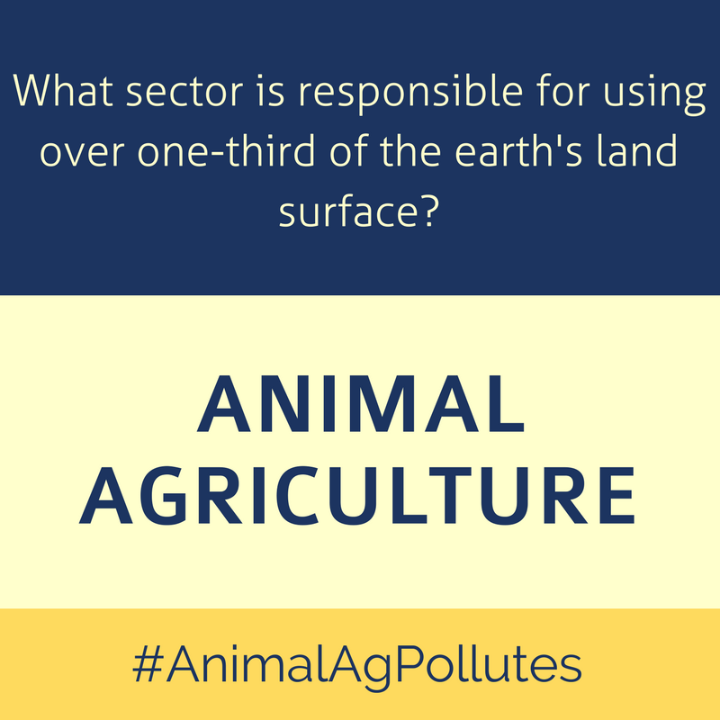 AnimalAgPollutes Landuse