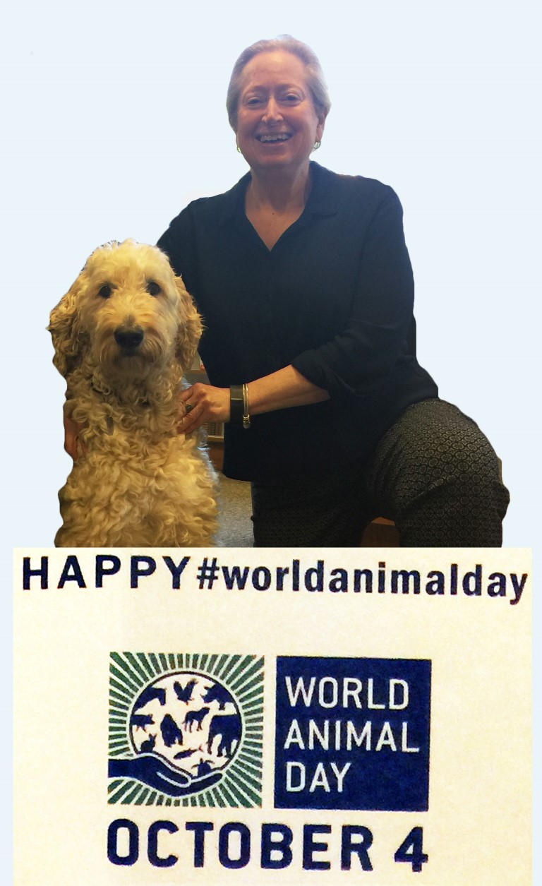 World Animal Day 1 Medium