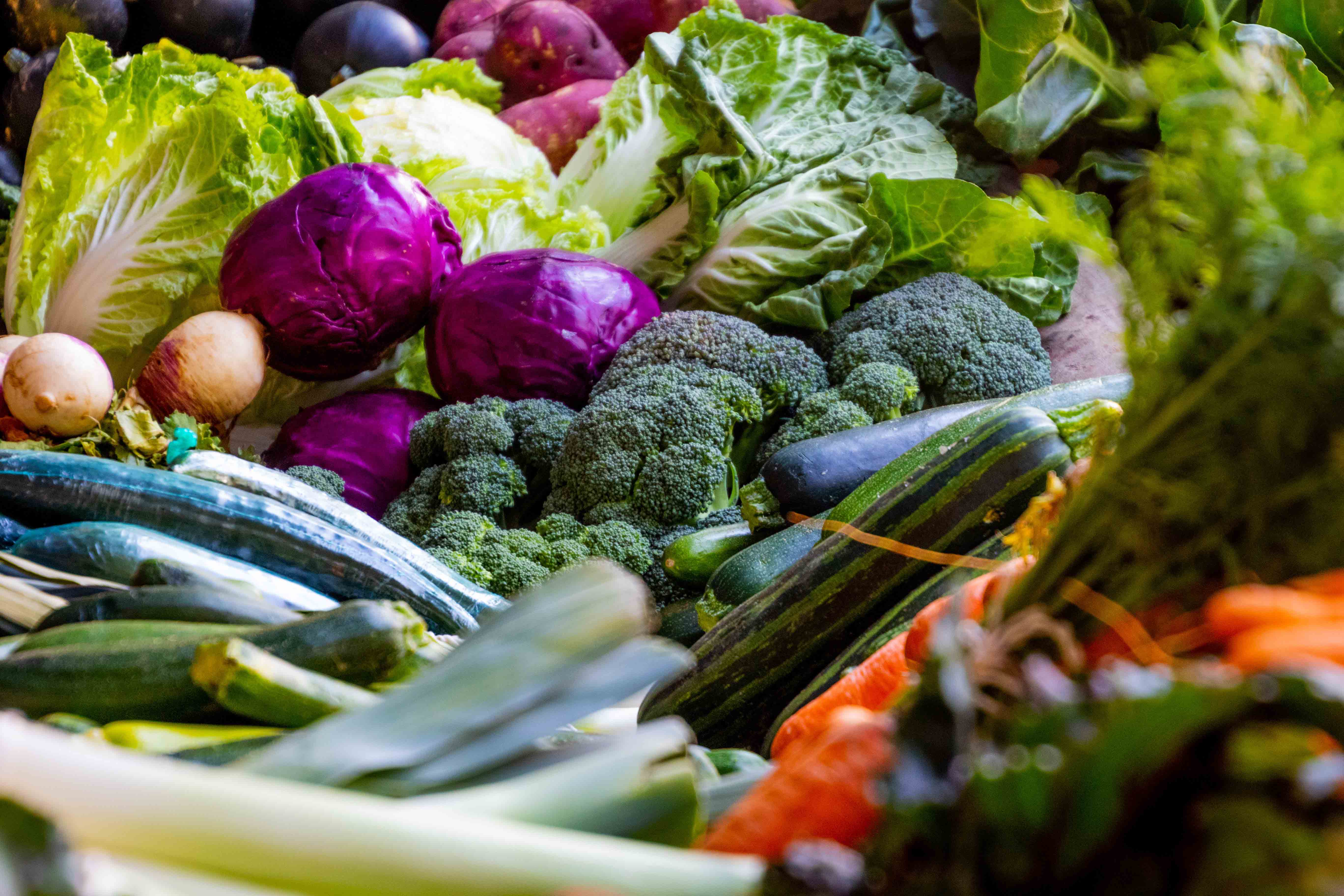 assorted broccoli cabbage 1300972