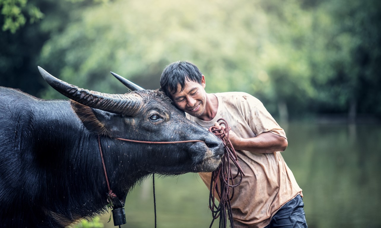 man-water-bullalo no attribution pexels Medium