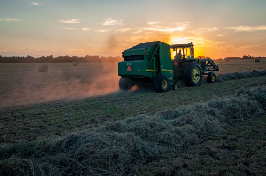 The Science is Clear - Reducing Meat Consumption to Help Reverse the Climate Crisis