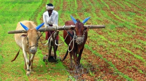 UN Sustainable Working Group Releases Goals for the Post-2015 Development Agenda